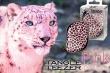 Compact Brush Pink Kitty