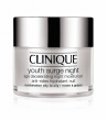 Youth Surge Night Age Decelerating Night Moisturizer Combination Oily to Oily