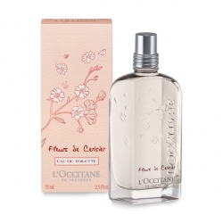 Cherry Blossom
