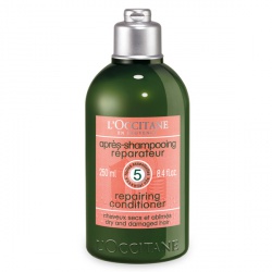 Repairing Conditioner