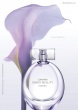 Sheer Beauty Essence