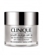 Youth Surge SPF 15 Age Decelerating Moisturizer Dry Combination